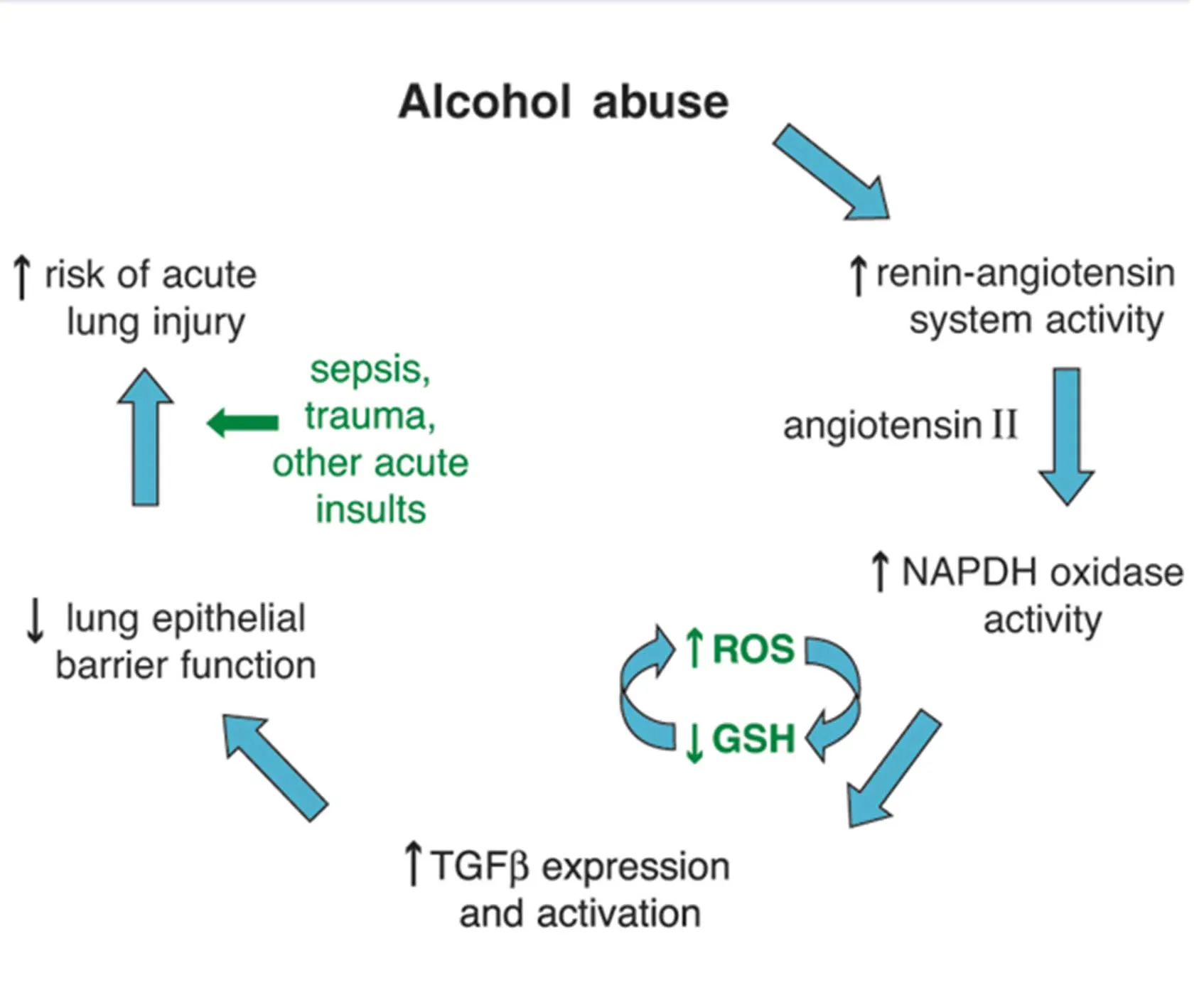 Hypertension and alcohol consumption