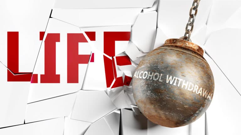 5 Things That Make Alcohol Withdrawal Dangerous: What Happens florida