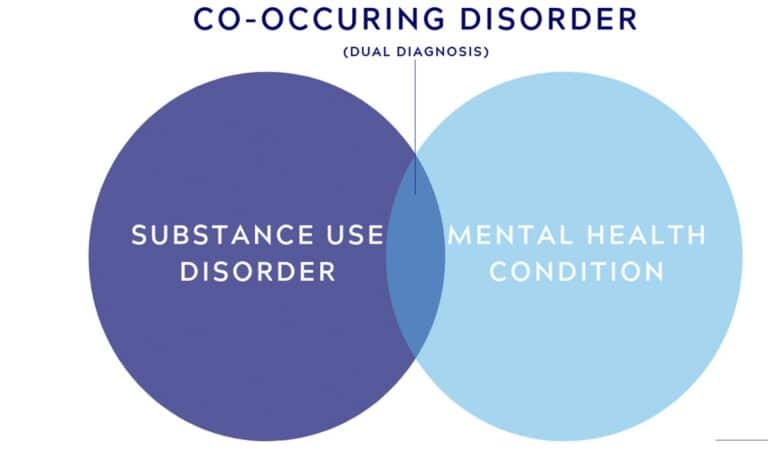 Treating Co-Occurring Disorders florida