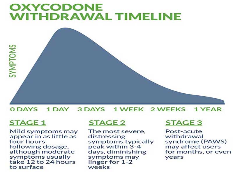Oxycodone Withdrawal Timeline florida