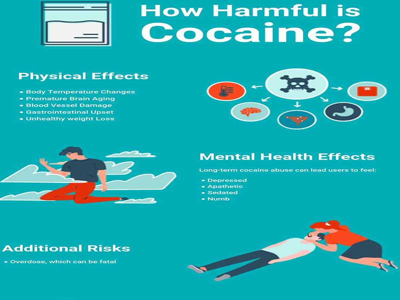 What-Are-the-Effects-of-Cocaine-Withdrawal-miami What-Are-the-Effects-of-Cocaine-Withdrawal-miami