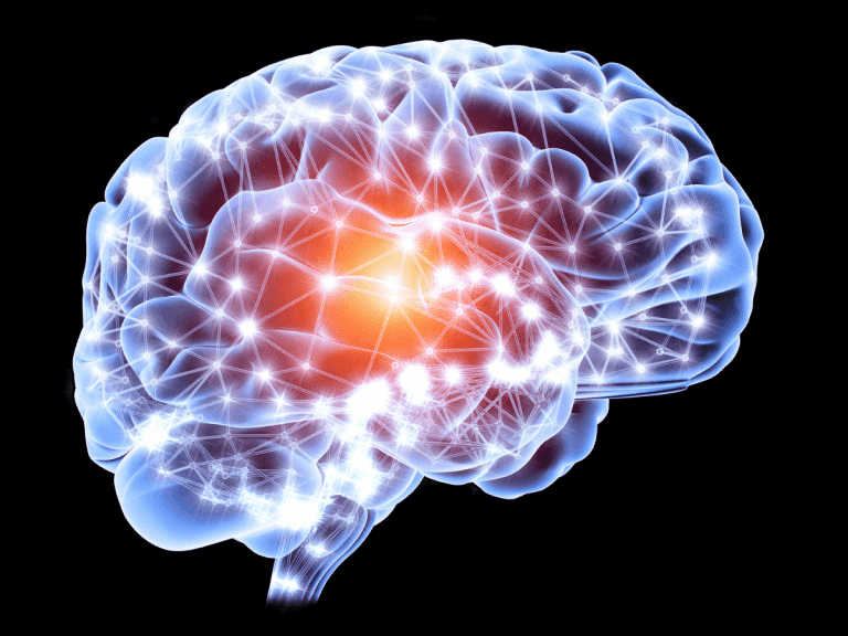 Neurobiology in Addiction